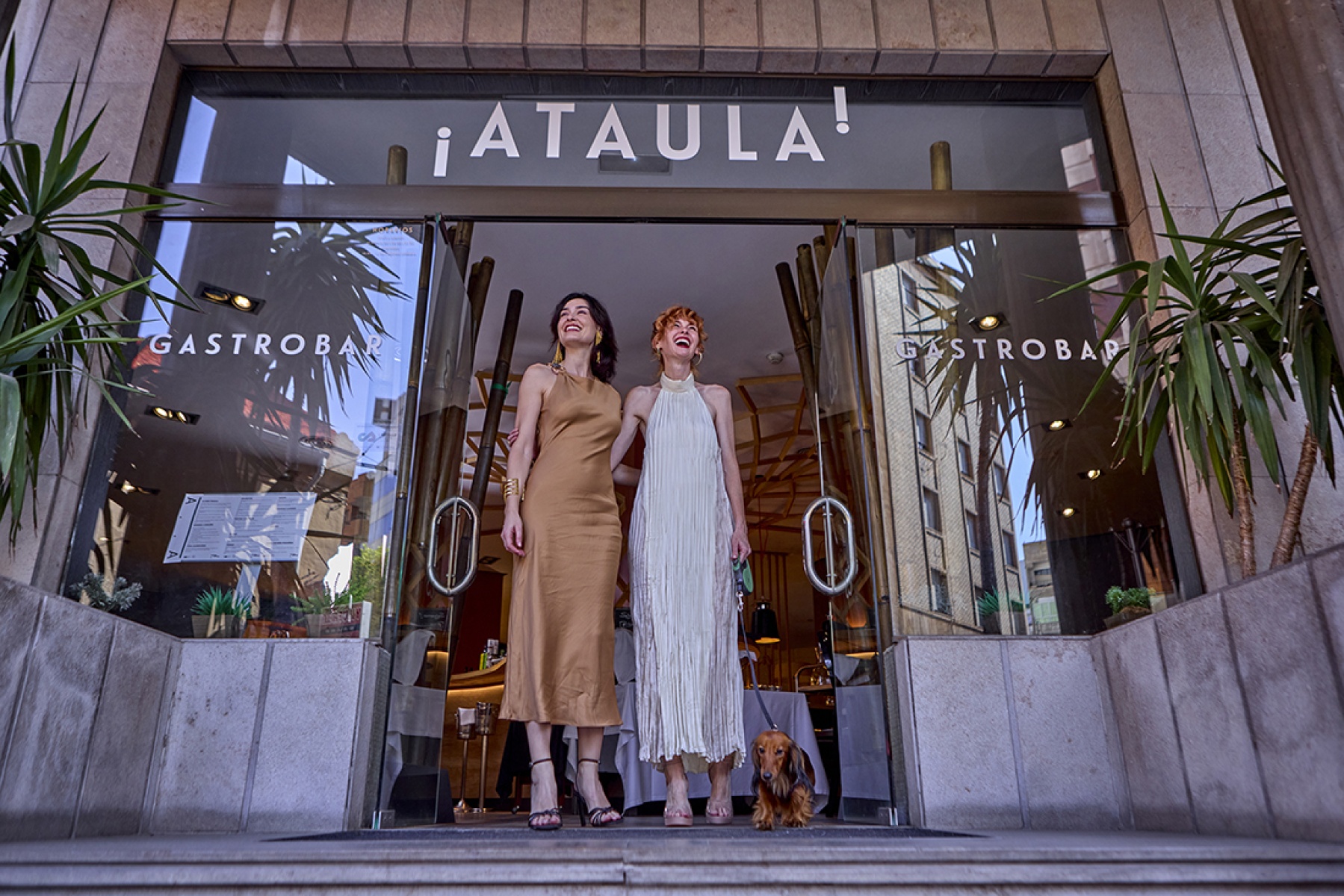 Ataula Gastrobar, bares y pubs en Castellón de la Plana